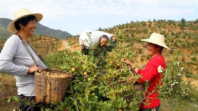 刚刚公示！湖北这17个县即将脱贫摘帽！