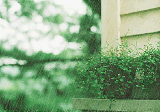 湖北天气丨周后期雨水主场，阳光倒计时ing…