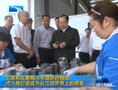 V视 | 王晓东在黄梅小池调研时强调  把小池打造成为长江经济带上的明珠
