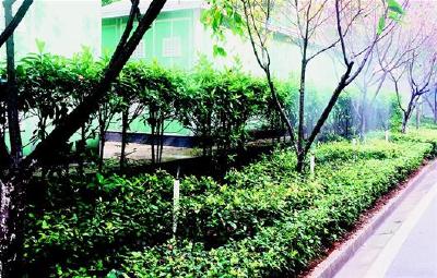 湖北节水交出成绩单：万元GDP用水量16年降近九成