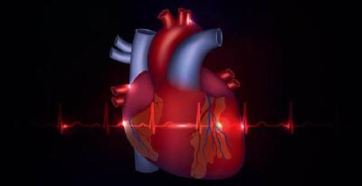 检查身体的5个部位，就可以知道心脏好坏
