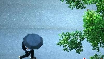 大到暴雨！今晚起，武汉将遇今年来最大范围强降雨