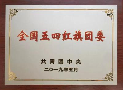 共青团中央表彰2018年度全国优秀团员团干部和先进基层团组织