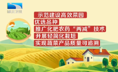 2019年5月13日湖北新闻整段