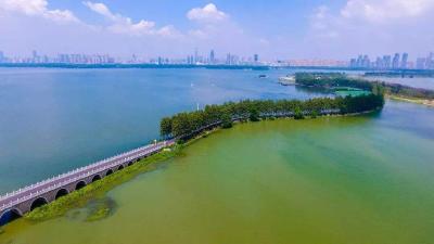 中央环保督察问题整改，这些河湖长被省河长办“提醒”