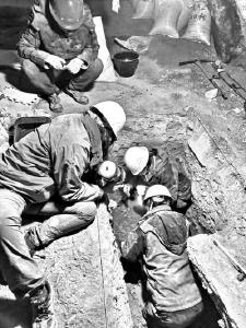 研究发现：16万年前人类已登上青藏高原