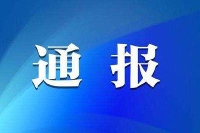 湖北9地通报44起典型案例：茅台酒、香烟、KTV……