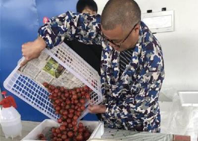 今年湖北将建设20万亩“高效菜园”