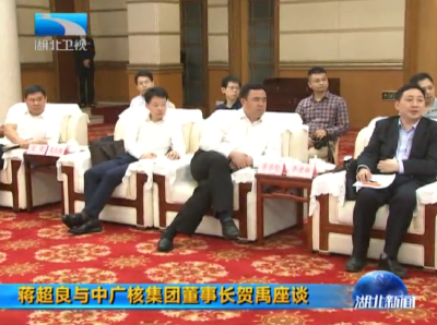 蒋超良与中广核集团董事长贺禹座谈