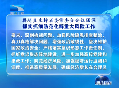 V视｜蒋超良主持省委常委会会议强调  抓实抓细防范化解重大风险工作 以案为鉴纠治形式主义官僚主义