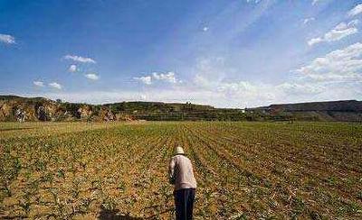 建立健全脱贫长效机制 湖北“防贫保”成效初现