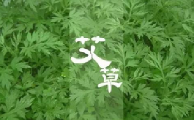 第五届李时珍蕲艾健康·旅游文化节盛大揭幕