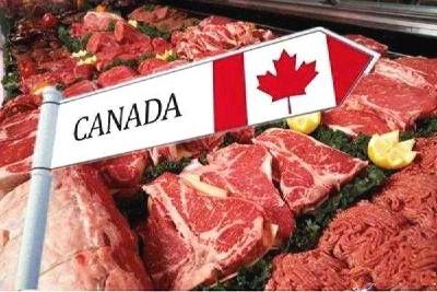 中方将暂停所有加拿大肉类对华出口？使馆回应