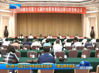 V视｜致公党十五届七次中常会在湖北召开 万钢出席并讲话