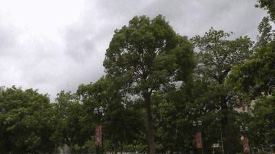 湖北今明两天将迎狂风暴雨、电闪雷鸣，还可能下冰雹
