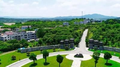 奖50万！安陆市有个乡镇被省里点名，看看你家乡吗