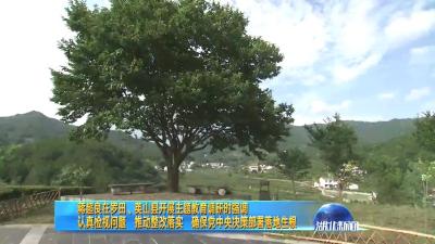 2019年7月12日湖北新闻整段