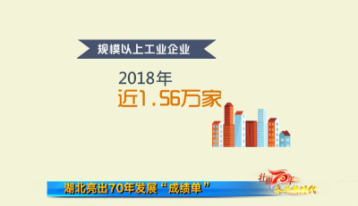 2019年8月6日湖北新闻整段