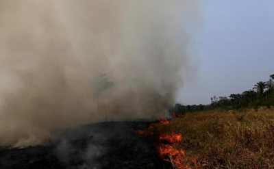 亚马孙雨林还要烧多久？专家：可能要等雨季到来 