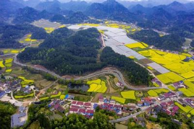 湖北这4个县入选全国示范县推荐榜，当选后将获补助1000万！