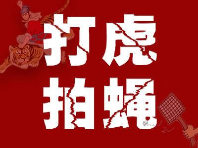 中国铁路南昌局党委副书记、副董事长、总经理马叶江接受审查调查
