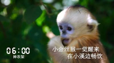 微视频 | 湖北24小时