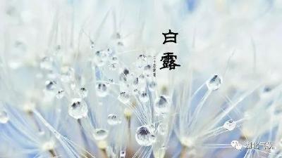 湖北气象 | 下周秋老虎发威 白露不见露水只有炎热
