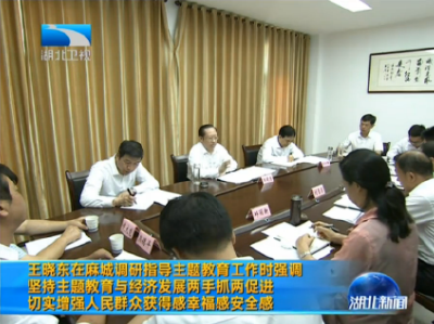 王晓东在麻城调研指导主题教育工作时强调 坚持主题教育与经济发展两手抓两促进 切实增强人民群众获得感幸福感安全感