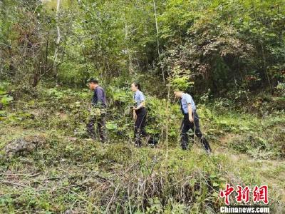 湖北保康县一村民猎捕野生动物被责令“义务巡山”