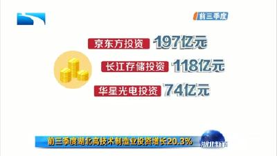 V视 | 新时代 新作为 新篇章 前三季度湖北高技术制造业投资增长20.3%