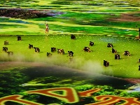 军运会开幕！这组超美现场图打包发你