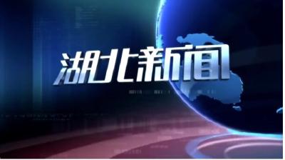 2019年10月9日湖北新闻整段