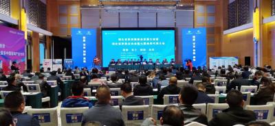 全国首发 湖北土鸡蛋团体标准发布