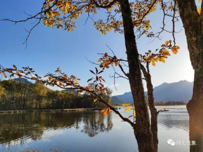 2019湖北赏红叶天气出炉！本周末适合出游吗？