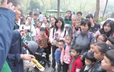 武汉动物园展出大熊猫粪便 闻起来并不臭还有点竹子清香