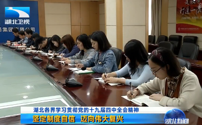 V视｜湖北各界学习贯彻党的十九届四中全会精神 坚定制度自信 迈向伟大复兴