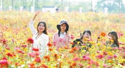 今日立冬未入冬 连续两天暖阳在线 