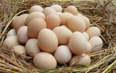 全国首个土鸡蛋标准在湖北实施 三类蛋可称为“土鸡蛋”