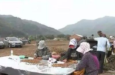 重磅！明年，中央要为农村办16件大事！