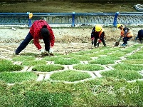 汉十高铁丹江口站加快美化建设
