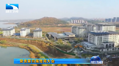 蒋超良王晓东与楚商大会嘉宾代表座谈