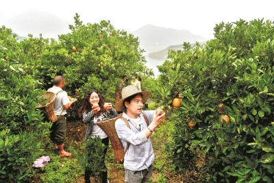 荆楚优质农产品网上越来越火 今年前9个月网上销售达816亿元