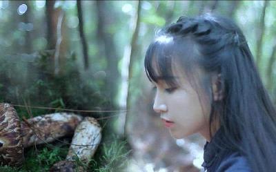 人民日报海外版：李子柒治愈了什么