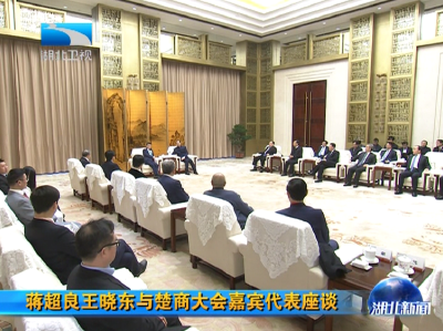 蒋超良王晓东与楚商大会嘉宾代表座谈