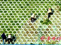 汉十高铁丹江口站加快美化建设
