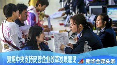 营造市场化、法治化、制度化长期稳定发展环境——聚焦中央支持民营企业改革发展意见的出台 