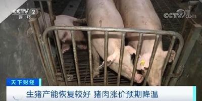 农业农村部：全国猪肉价格连续4周回落，降幅超过20%