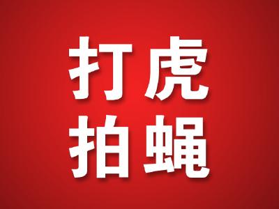 天门市公安局原党委委员、副局长曾红波被开除党籍和公职