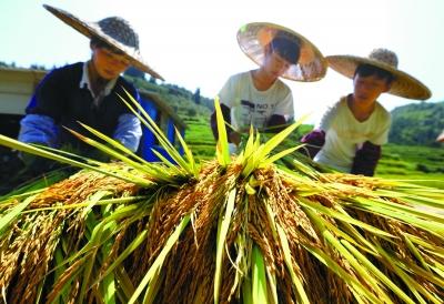 打赢脱贫攻坚战更须注重高质量 