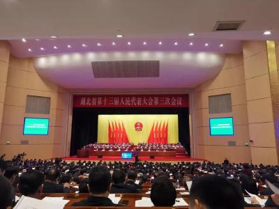 全国首部！权威解读！《湖北省乡村振兴促进条例》